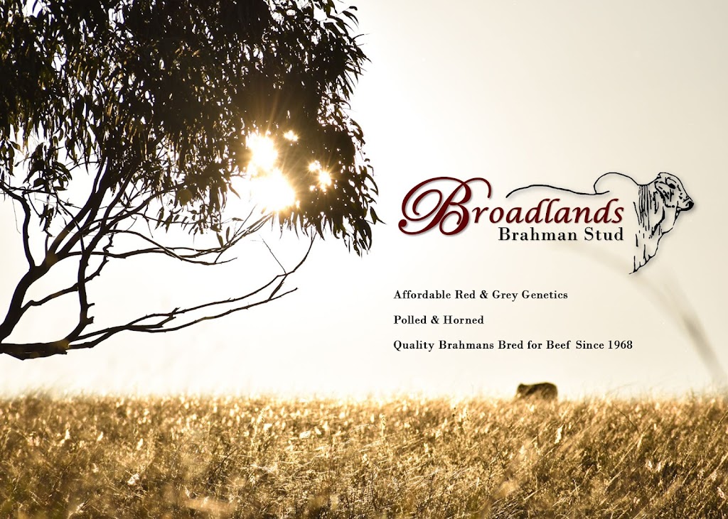 Broadlands Brahmans |  | 1523 Brooweena Woolooga Rd, Gigoomgan QLD 4620, Australia | 0741299120 OR +61 7 4129 9120