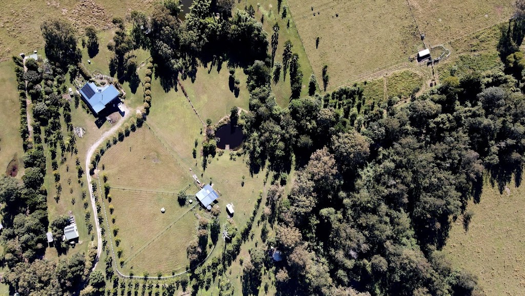 Kirar Nulla Family Farm | 59 Kaylene Ct, Royston QLD 4515, Australia | Phone: 0409 068 016