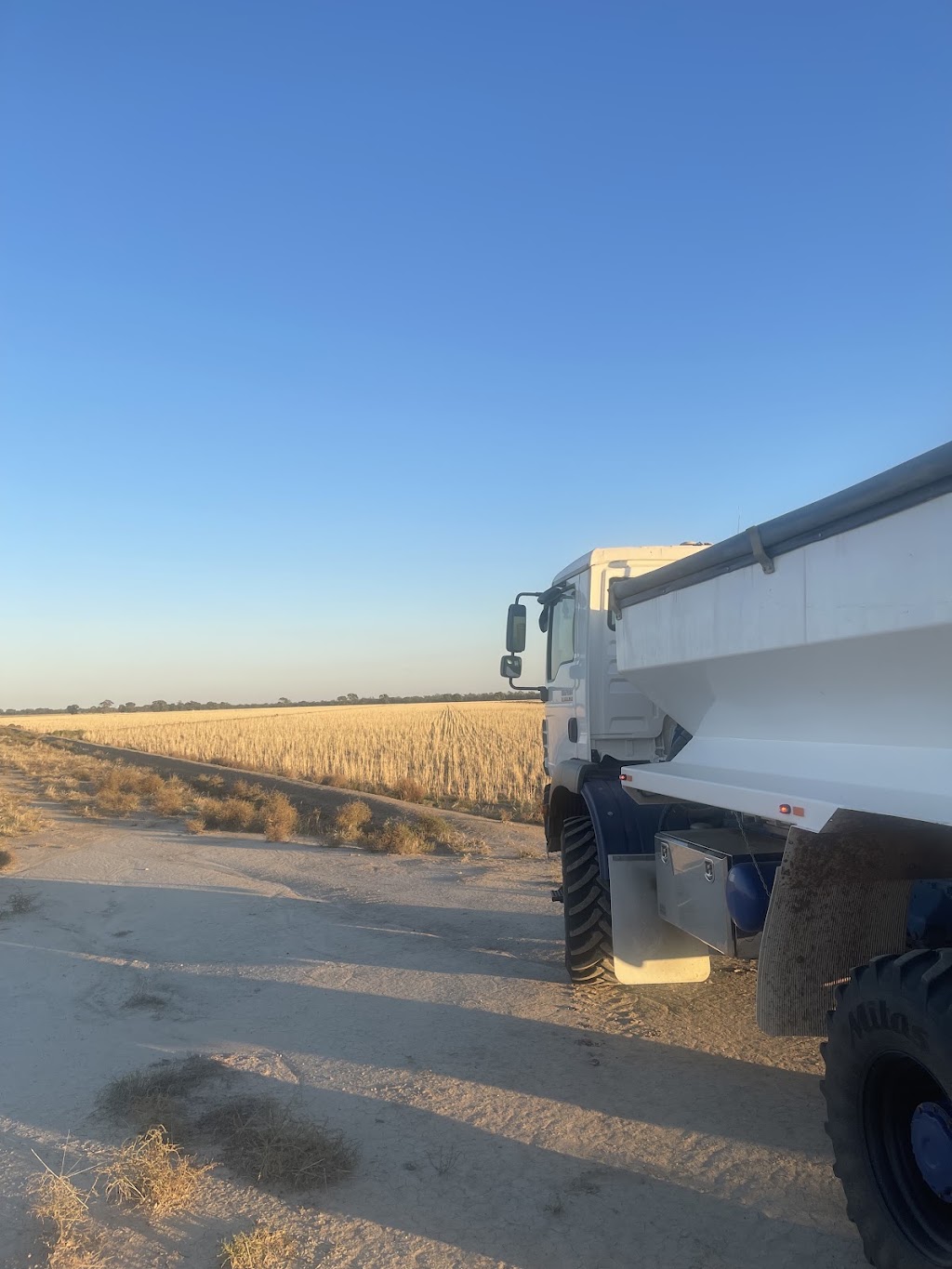 Lloyd spreading | 364 Hay Rd, Deniliquin NSW 2710, Australia | Phone: 0477 008 750