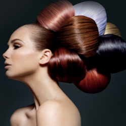 Colour Hair and Beauty | hair care | 36 Elmina Ave, Ellenbrook WA 6069, Australia | 0438914850 OR +61 438 914 850