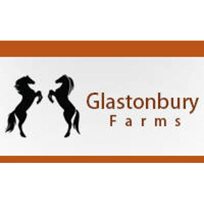 Glastonbury Farms | store | 101 Segenhoe Rd, Segenhoe NSW 2337, Australia | 0265438468 OR +61 2 6543 8468