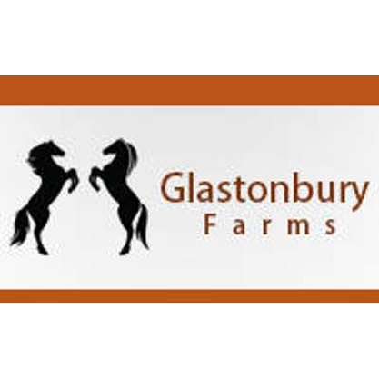 Glastonbury Farms | 101 Segenhoe Rd, Segenhoe NSW 2337, Australia | Phone: (02) 6543 8468