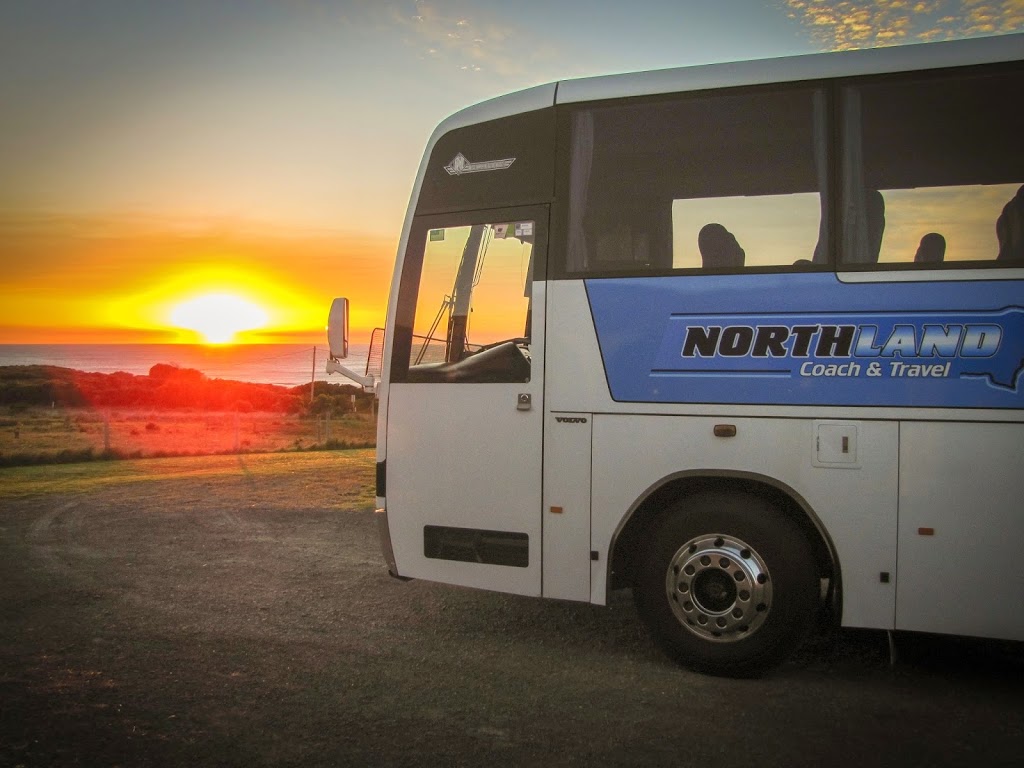 northland coach tours grafton