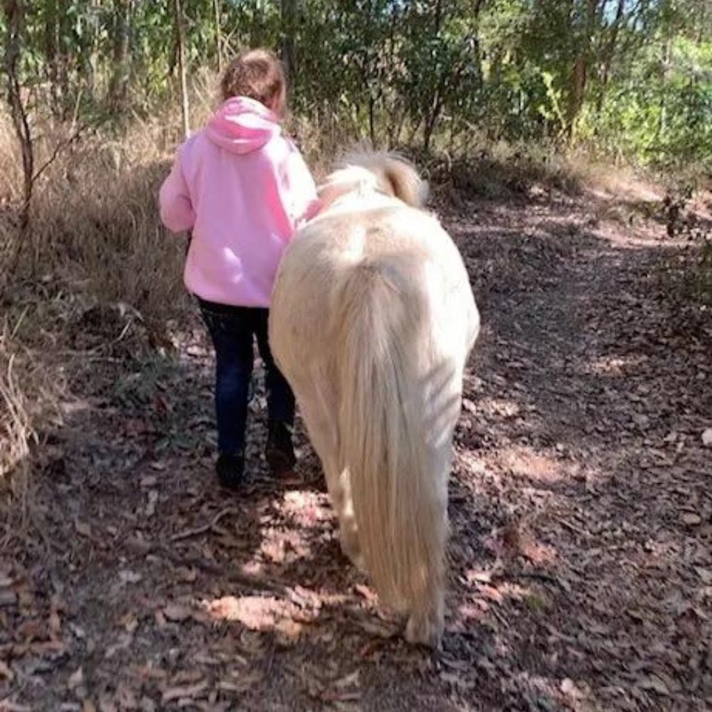 Black Beauty Equine Assisted Therapy | Whelan Rd, Bollier QLD 4570, Australia | Phone: 0418 644 039