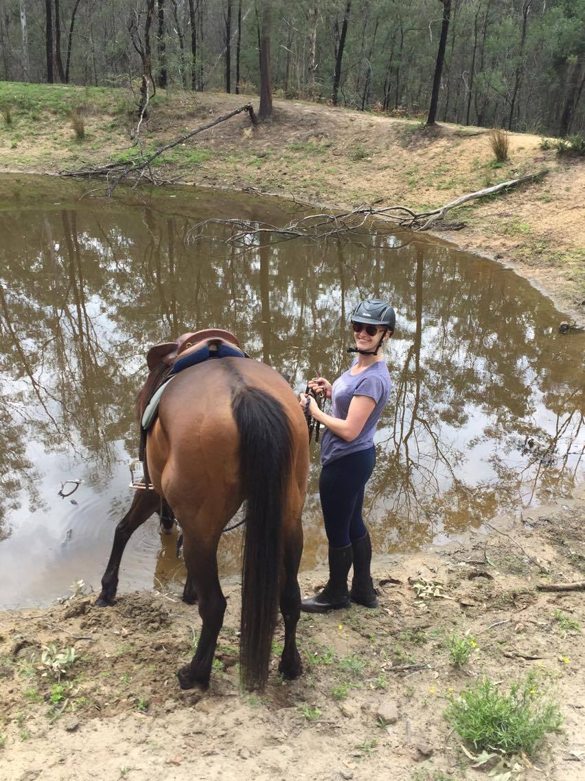 Chapman Valley Horse Riding | 7054 Putty Rd, Howes Valley NSW 2330, Australia | Phone: (02) 6579 4593