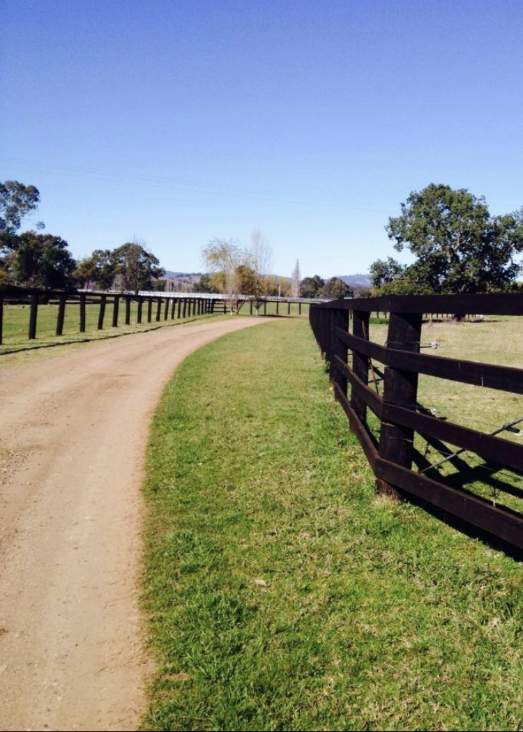 Cottonwood Stables Horse Agistment and Services |  | 30 Timor Rd, Blandford NSW 2338, Australia | 0407467266 OR +61 407 467 266