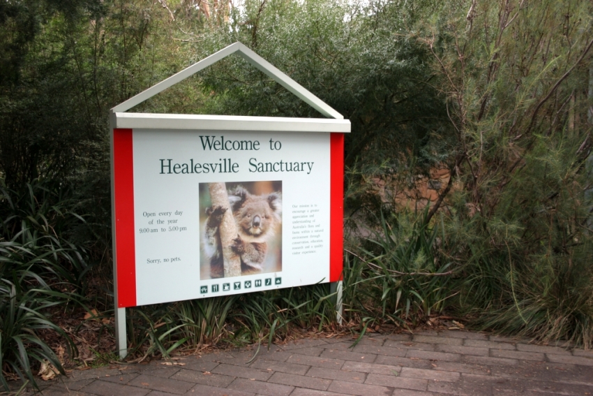 Healesville Sanctuary Parking | zoo | Badger Creek Rd, Badger Creek VIC 3777, Australia | 1300966784 OR +61 1300 966 784