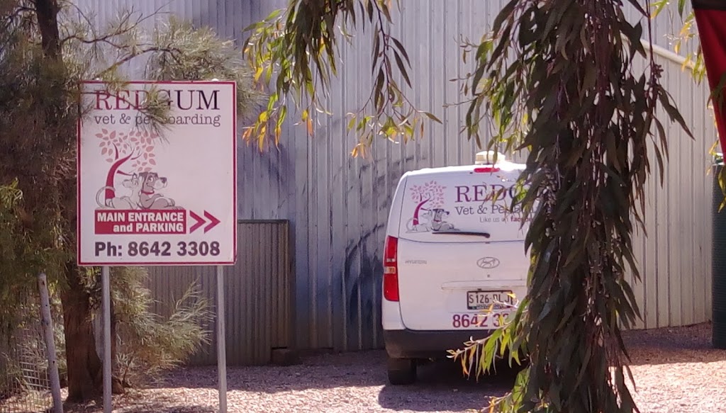 Redgum Vet & Pet Boarding | veterinary care | 24 Woodcock St, Port Augusta SA 5700, Australia | 0886423308 OR +61 8 8642 3308
