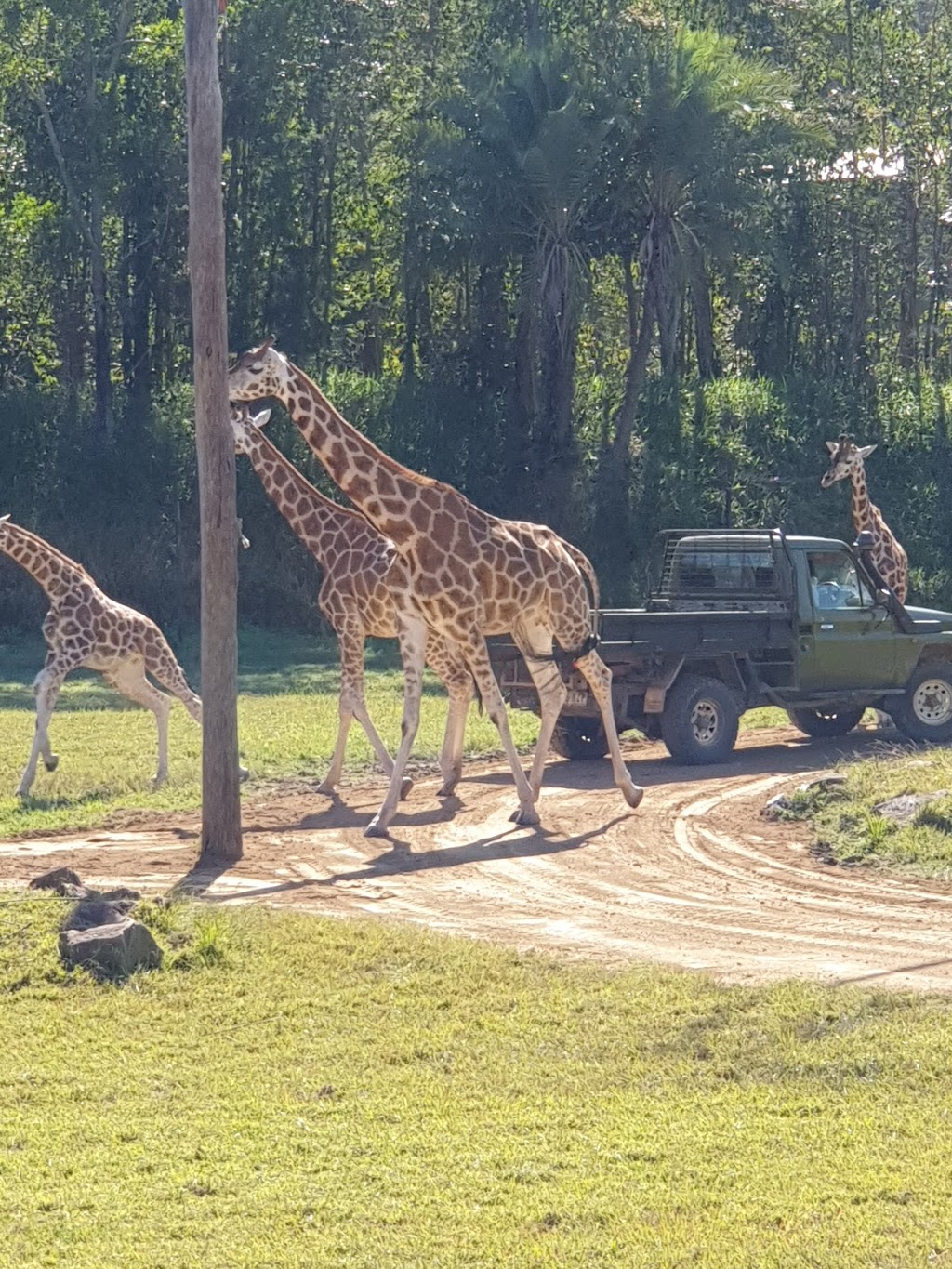 Australia Zoo Wildlife Warriors Worldwide | Steve Irwin Way, Beerwah QLD 4519, Australia | Phone: (07) 5436 2097