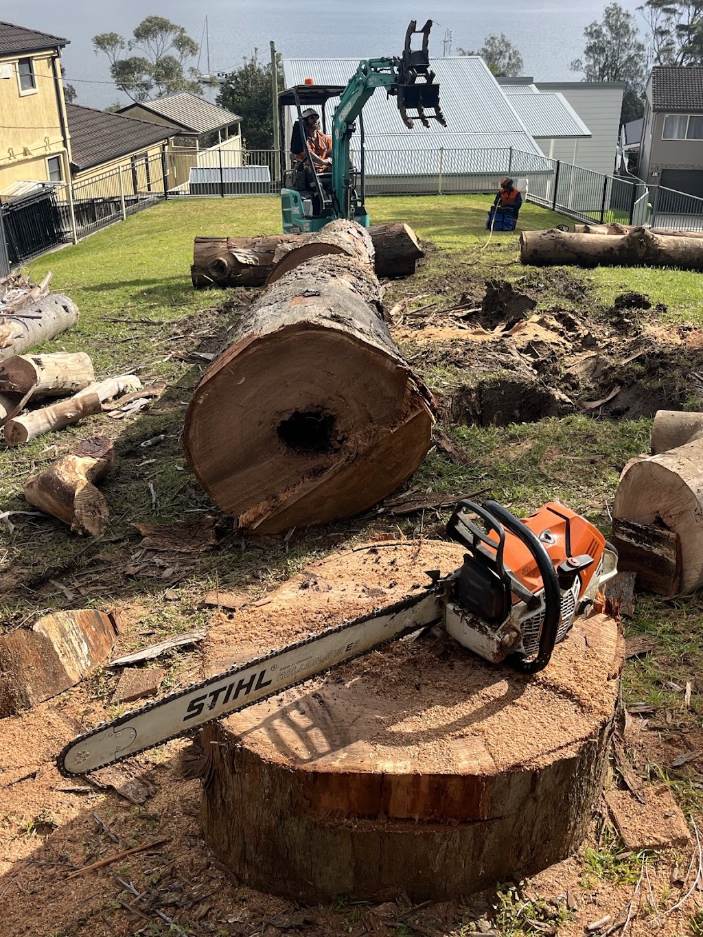 The Green Barber Tree Service | 70 Carlton Beach Rd, Dodges Ferry TAS 7173, Australia | Phone: 0433 804 284