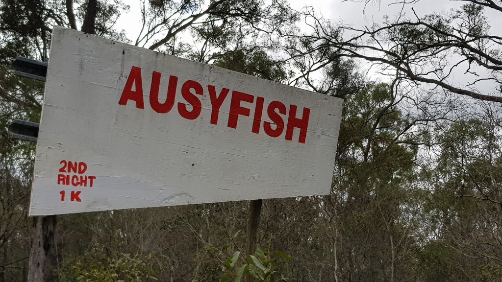 Ausyfish Pty Ltd | 741 Sims Rd, Abington QLD 4660, Australia | Phone: 0407 797 149