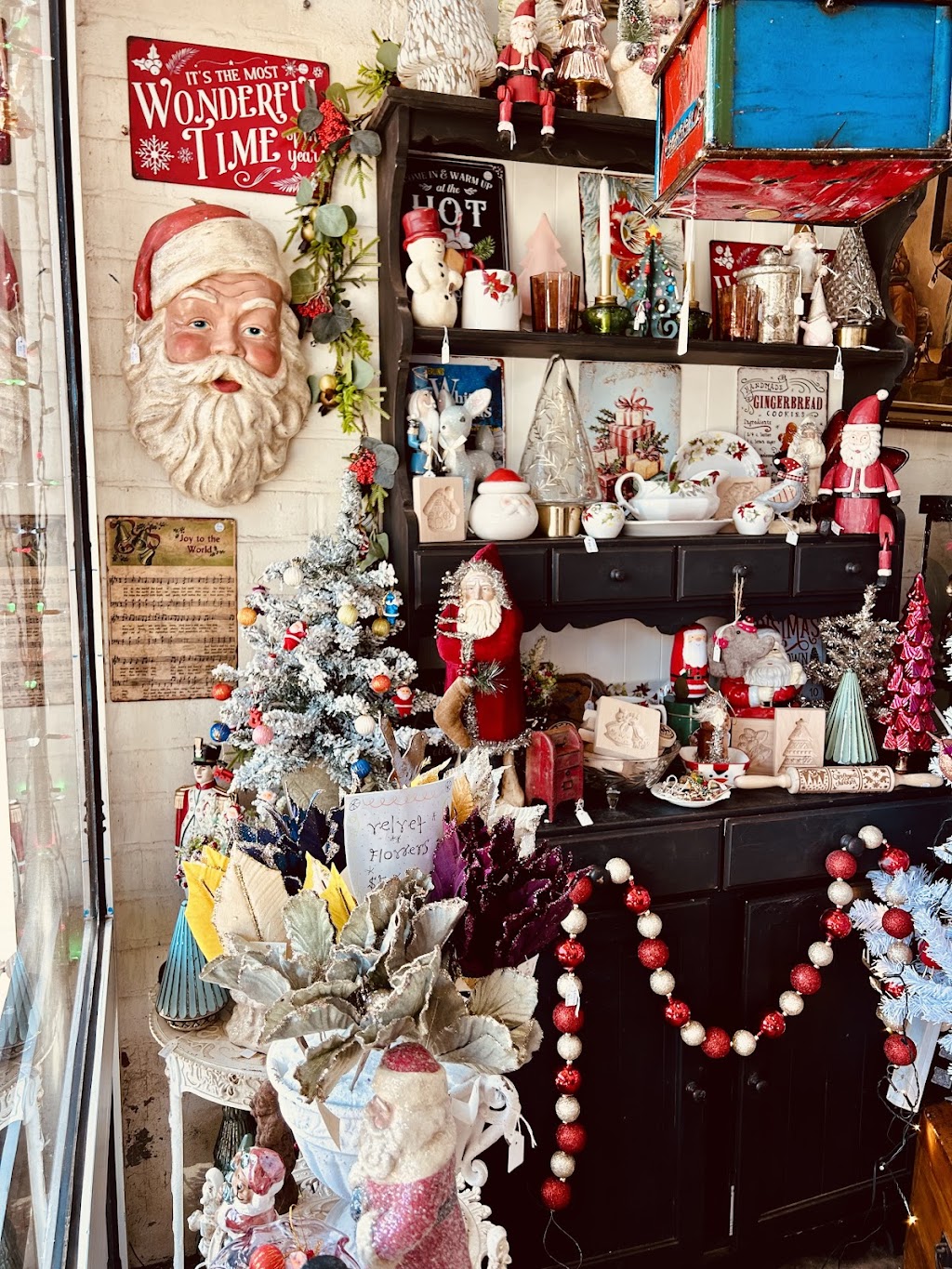 Petit Velo Rochester | Unit 2/41 Moore St, Rochester VIC 3561, Australia | Phone: 0448 555 154