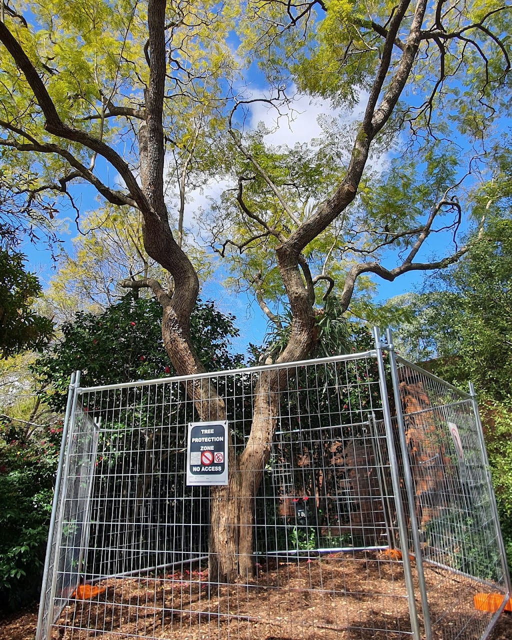 Tree Protection Australia | 10 Pitt Town Rd, Kenthurst NSW 2156, Australia | Phone: 0477 435 782