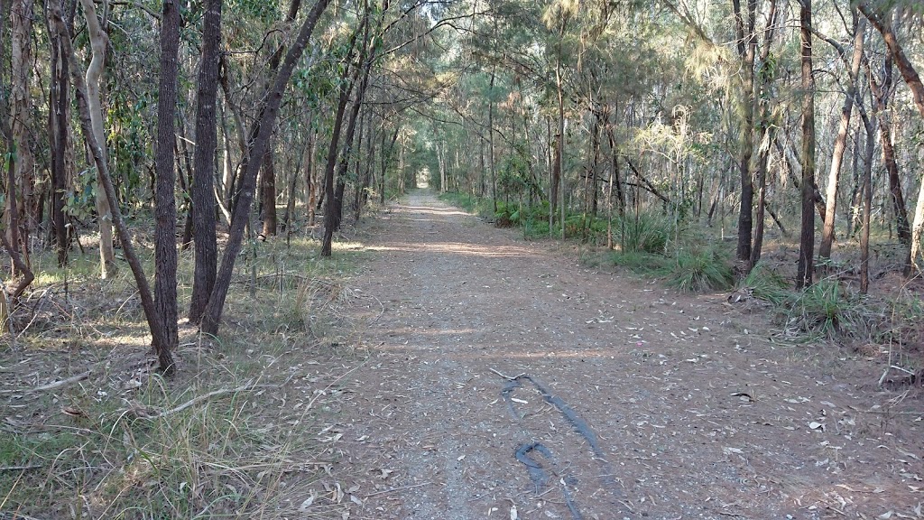 Stretton Wetland Reserve | park | 932 Gowan Rd, Stretton QLD 4116, Australia