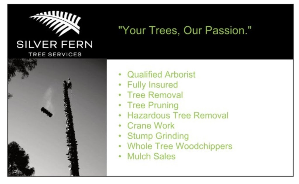 Silver Fern Tree Services | Phar Lap Cct, Port Macquarie NSW 2444, Australia | Phone: 0401 806 329