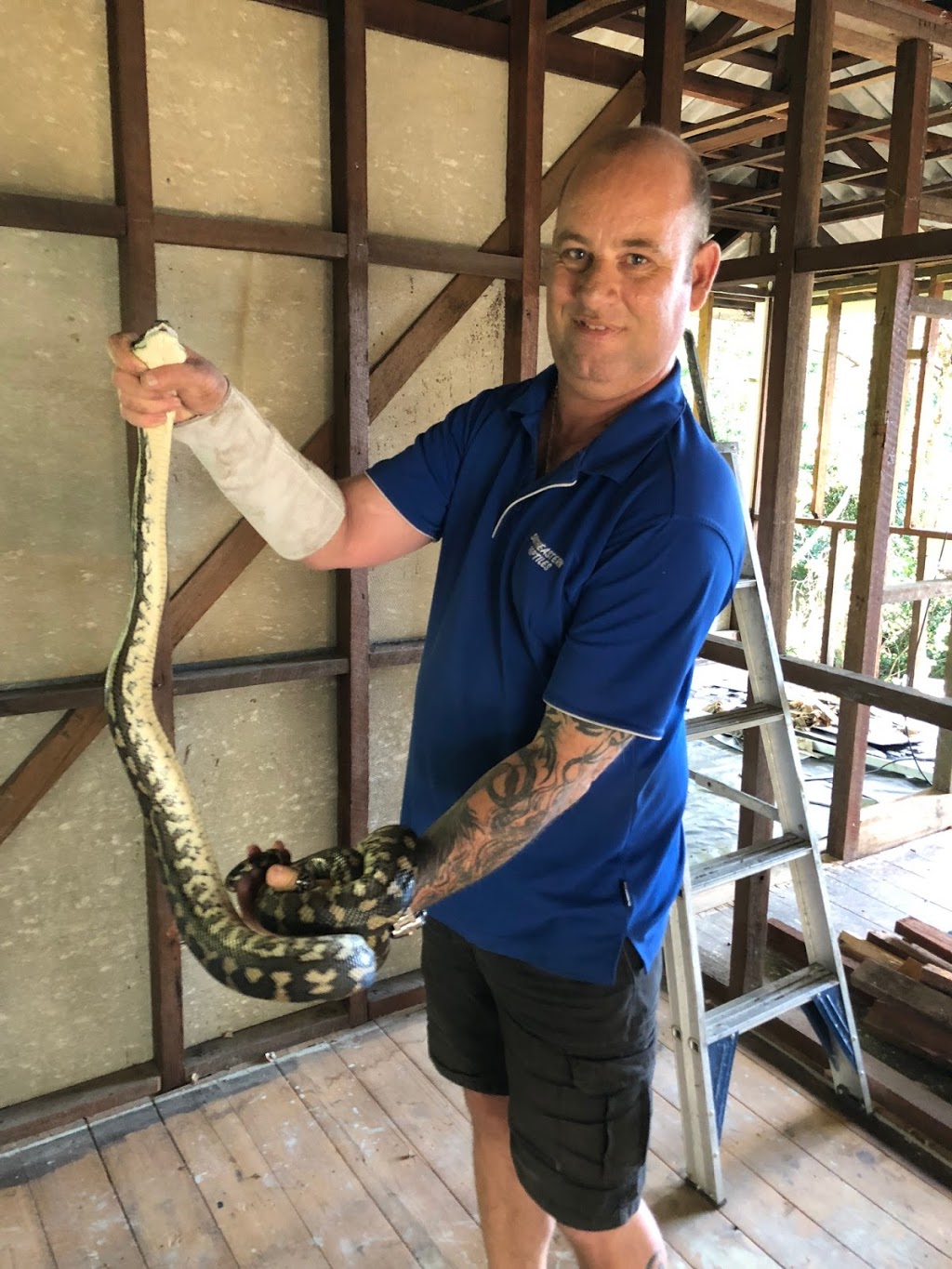 Robert Watson Snake Catcher Brisbane | 104 Mawson st Stafford heights 4053, Brisbane QLD 4053, Australia | Phone: 0401 164 492