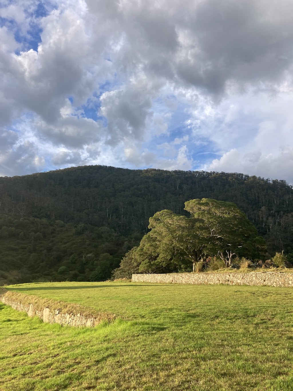 Blue Hills Luxury Farm Stay | 83 Meads Rd, Tilba Tilba NSW 2546, Australia | Phone: 0400 358 514
