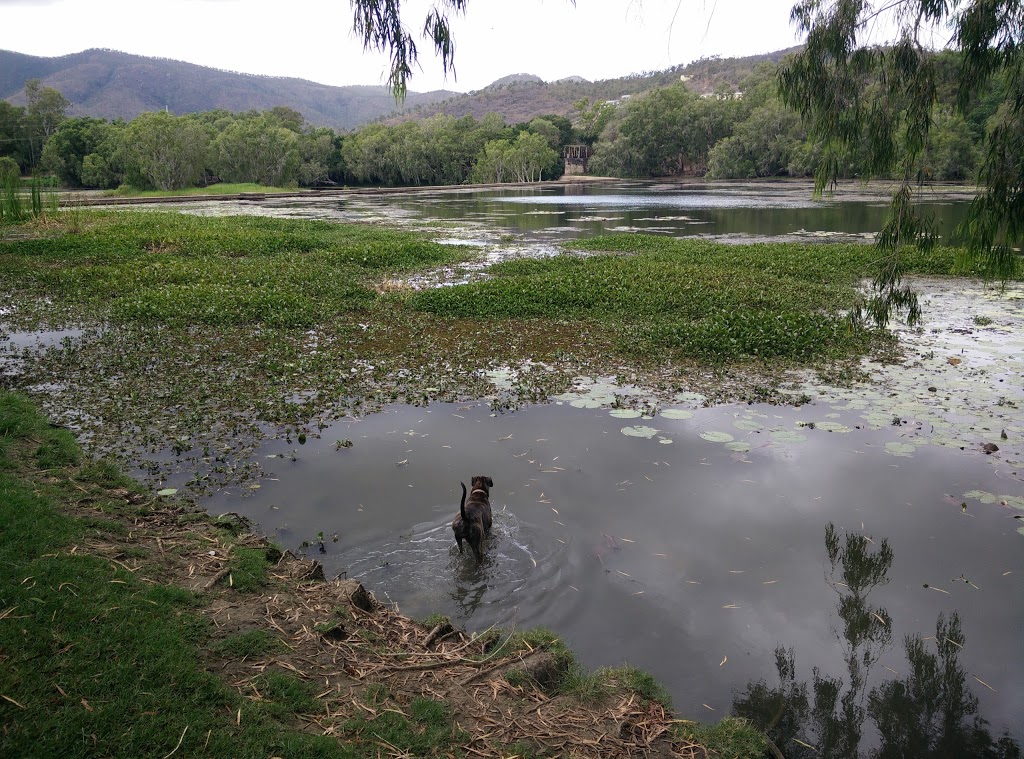 Riverside Off Leash Dog Park Cranbrook | Arinya St, Cranbrook QLD 4814, Australia | Phone: 13 48 10