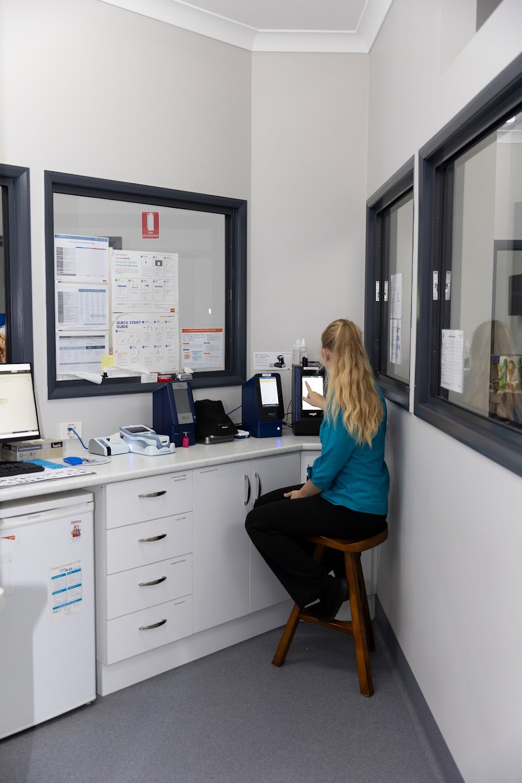 Marburg Veterinary Clinic | 159 Edmond St, Marburg QLD 4346, Australia | Phone: (07) 5307 9888