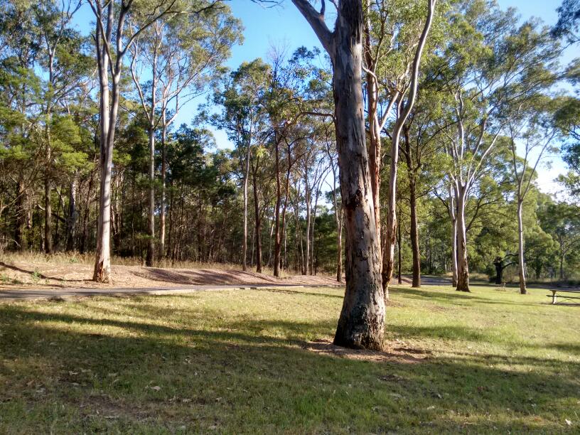 Georges River Parkway Reserve | park | Georges River Road, Airds NSW 2565, Australia | 0246454000 OR +61 2 4645 4000