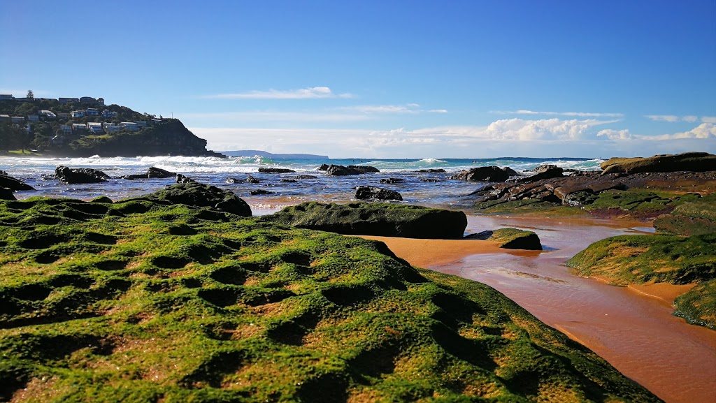 Whale Beach Reserve | park | 4 Malo Rd, Whale Beach NSW 2107, Australia