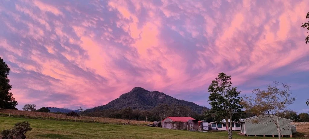 Moorland Eco Farm | 106 Hannam Vale Rd, Moorland NSW 2443, Australia | Phone: 0432 288 156