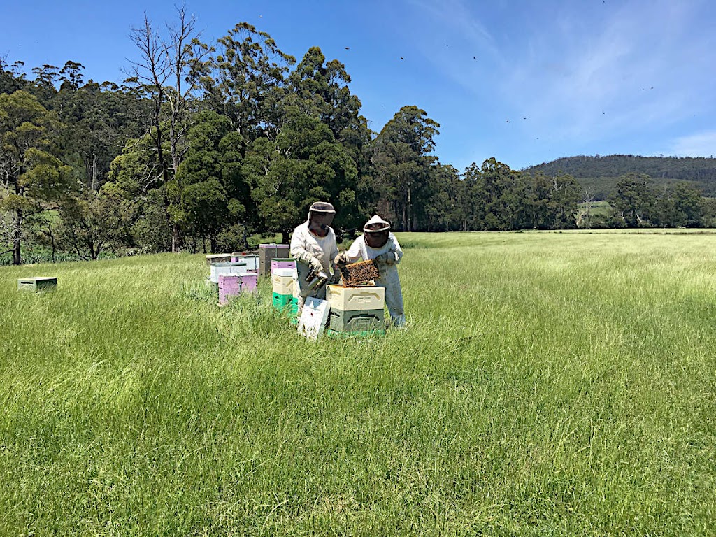 Tasman Honey | 49 Hylands Rd, Murdunna TAS 7178, Australia | Phone: 0418 127 174