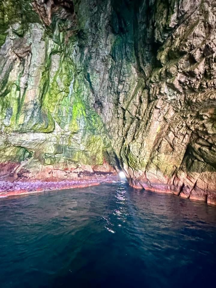 MARIA ISLAND CRUISES | 21 Vicary St, Triabunna TAS 7190, Australia | Phone: (03) 6257 1300