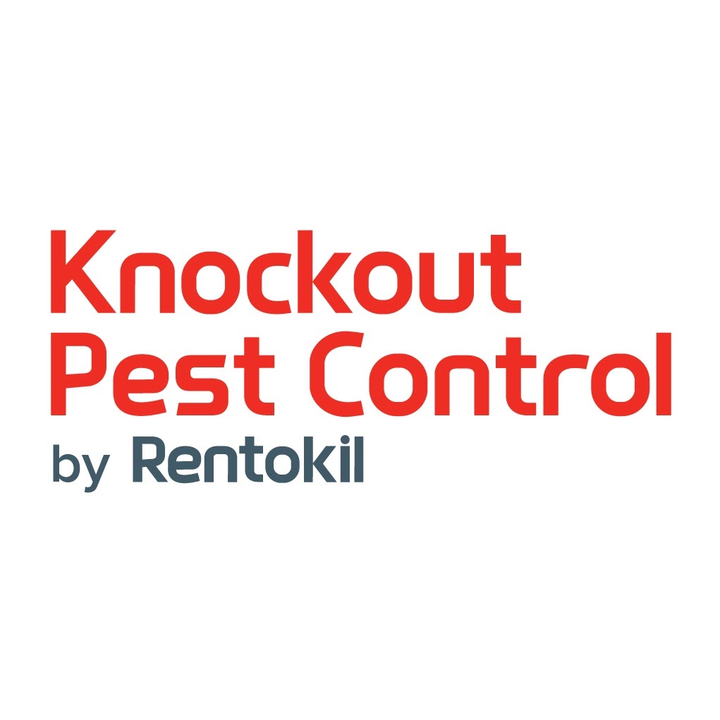 Knockout Pest Control | home goods store | 532 Princes Hwy, Kirrawee NSW 2232, Australia | 1300858140 OR +61 1300 858 140