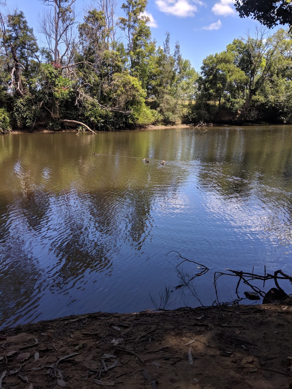 Coulsons wharf park | park | Yandina QLD 4561, Australia