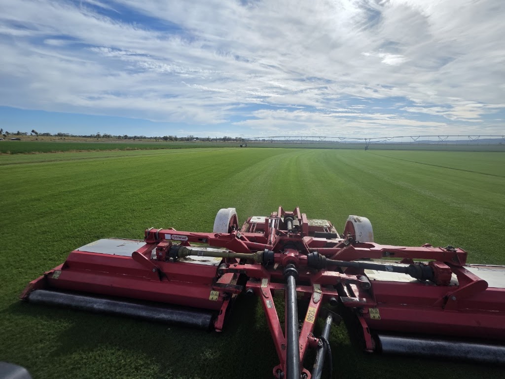 Glengallan Turf | 1122 Willowvale Rd, Massie QLD 4370, Australia | Phone: 0437 015 663
