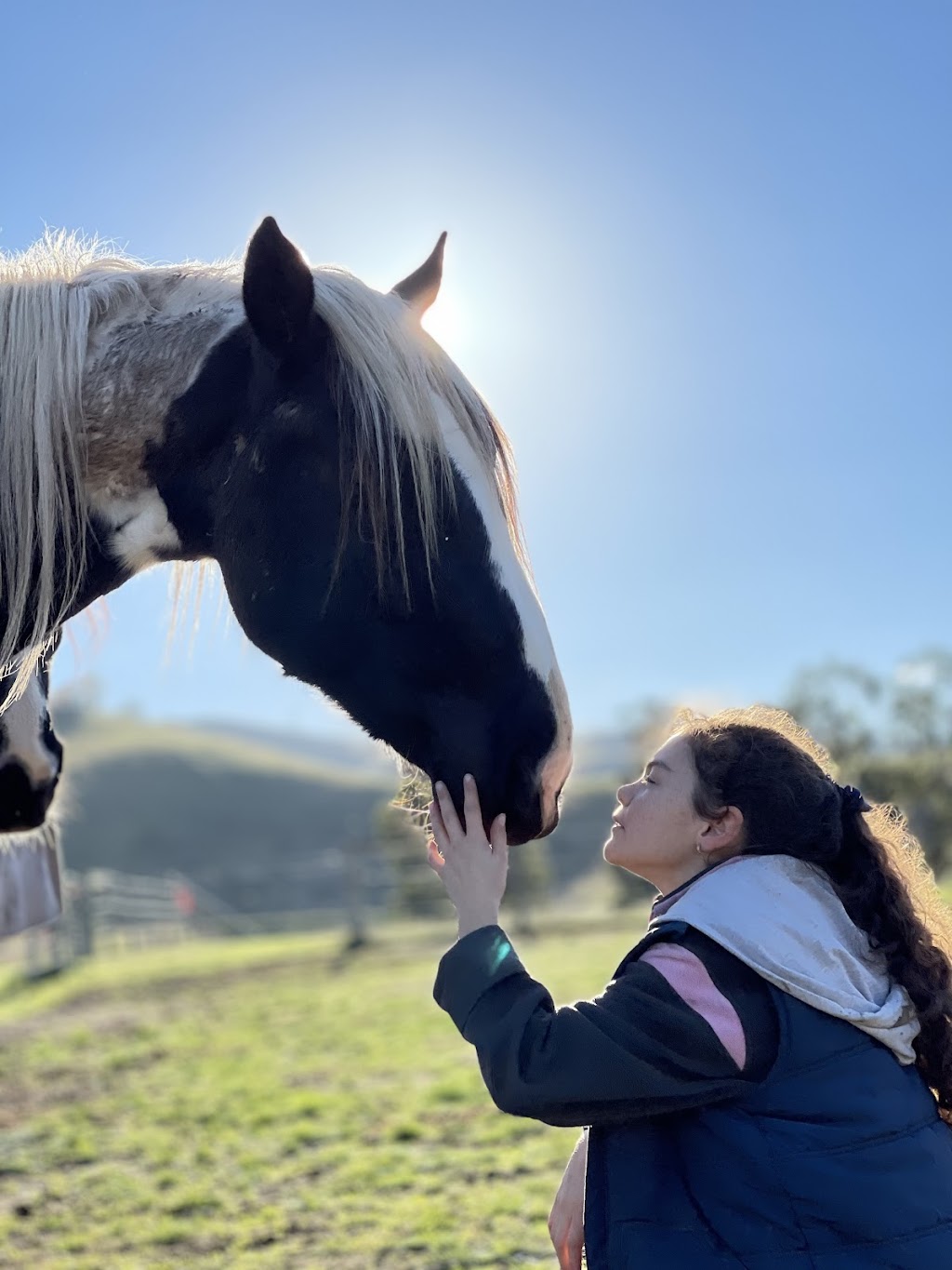 Wildcroft Estate Yea | 526 Ti Tree Creek Rd, Yea VIC 3717, Australia | Phone: 0407 882 935