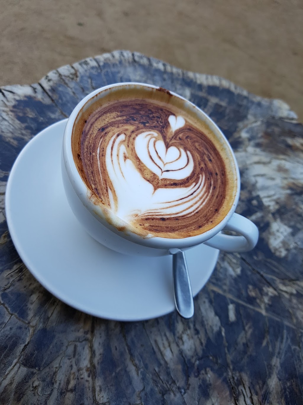 The Tiller Coffee | 81 Mina Parade, Alderley QLD 4051, Australia