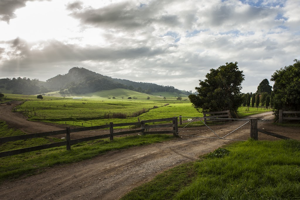 Tilba Real Dairy | 37 Bate St, Central Tilba NSW 2546, Australia | Phone: (02) 4473 7387