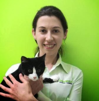 Greenvale Animal Hospital | veterinary care | 1 Bradford Ave, Greenvale VIC 3059, Australia | 0393331993 OR +61 3 9333 1993