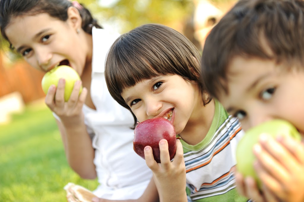 Atkinson Childcare College | 2/24 Lake St, Warners Bay NSW 2282, Australia | Phone: (02) 4942 2300