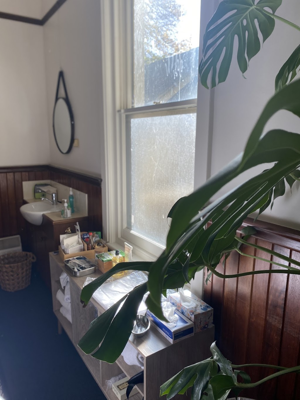 Purple Cloud Chinese Medicine | 7 Beach Rd, Sandy Bay TAS 7015, Australia | Phone: 0428 880 332