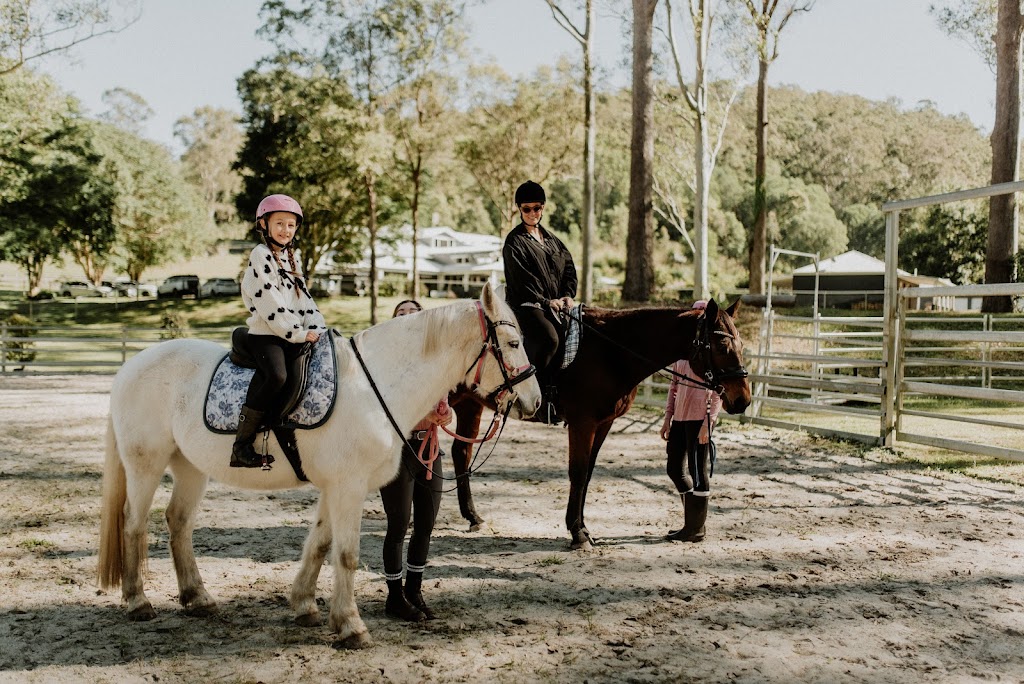 Gold Coast Equine Sanctuary | 25 Lanes Rd, Wongawallan QLD 4210, Australia | Phone: 0432 660 577