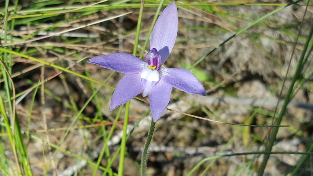 Sherwins Range Reserve | Humevale VIC 3757, Australia