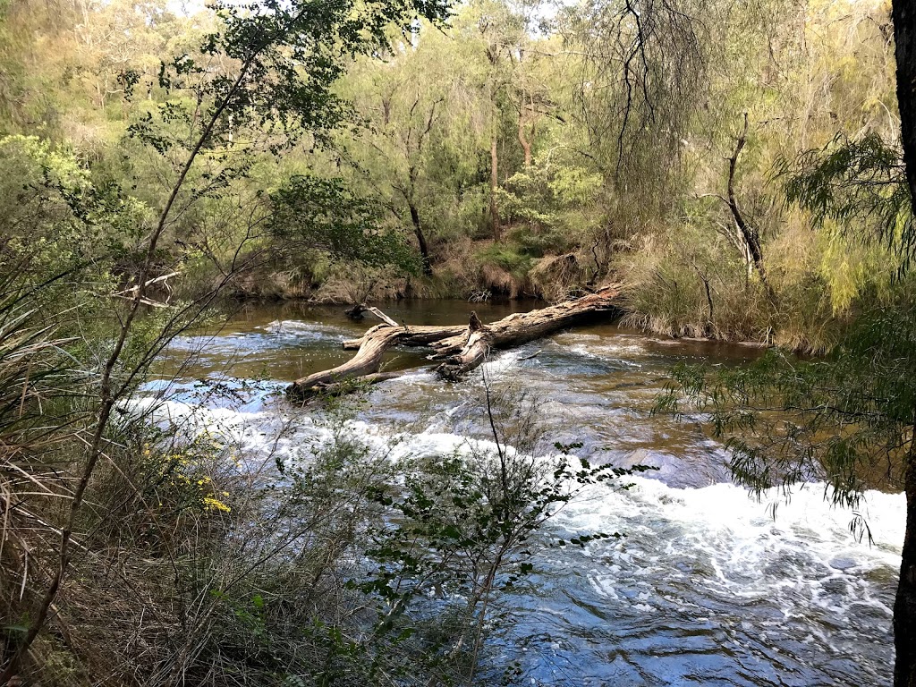 Wellington National Park | park | Coalfields Hwy, Worsley WA 6225, Australia | 0897351988 OR +61 8 9735 1988