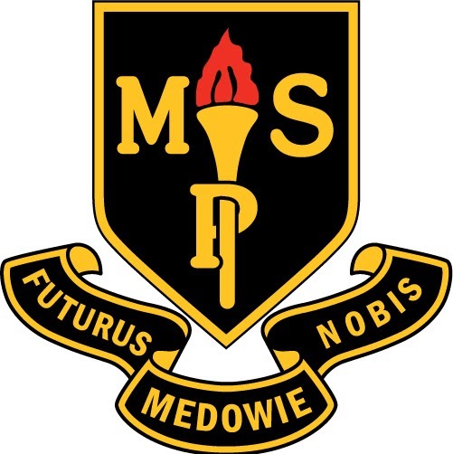 Medowie Public School | school | 15 Ferodale Rd, Medowie NSW 2318, Australia | 0249828222 OR +61 2 4982 8222