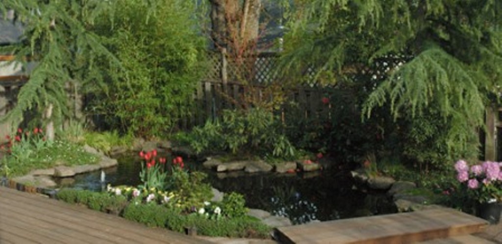 Plants & Water Features | 63 Eirene St, Yarraville VIC 3013, Australia | Phone: 0432 653 709