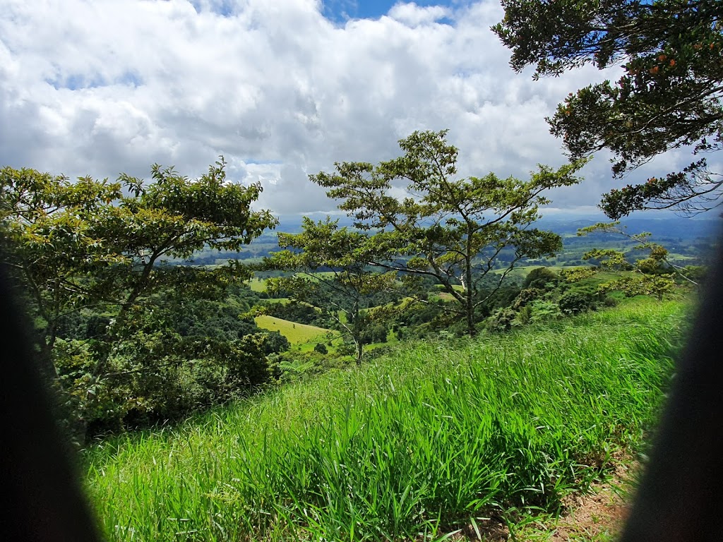 Millaa Millaa Lookout | tourist attraction | E Evelyn Rd, Millaa Millaa QLD 4886, Australia | 1300366361 OR +61 1300 366 361