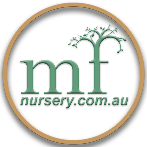 Mullalyup Forest Farm Nursery |  | 393 Cundinup-Kirup Rd, Mullalyup WA 6252, Australia | 0458914237 OR +61 458 914 237