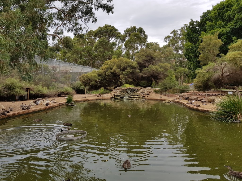 Bunbury Wildlife Park | Prince Philip Drive, South Bunbury WA 6230, Australia | Phone: (08) 9721 8380