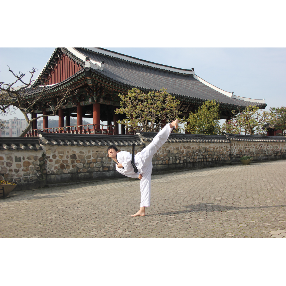 Jinmoo Korean Martial Arts | gym | 1 Broughton St, Concord NSW 2137, Australia | 0297473030 OR +61 2 9747 3030