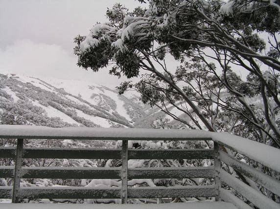 Tanderra Ski Lodge | Great Alpine Road, (Village Bus Stop 8), Mt Hotham VIC 3741, Australia | Phone: 1800 819 410