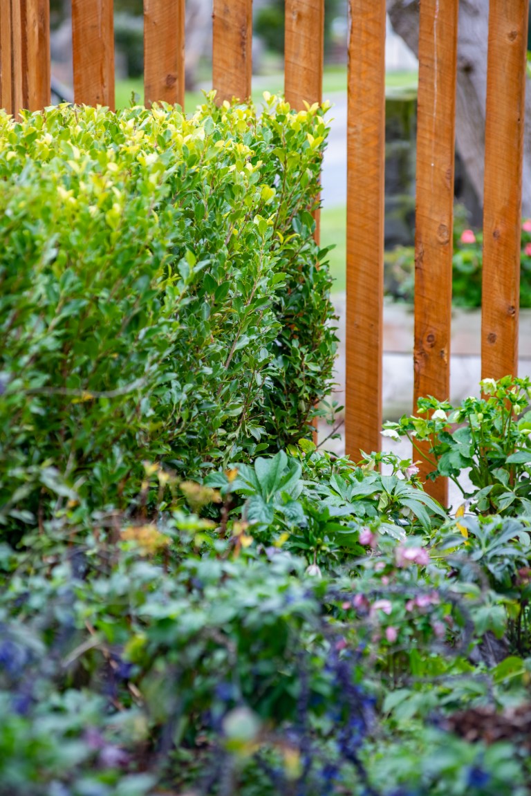 Yard Culture | na, Tyabb VIC 3913, Australia | Phone: 0405 531 489