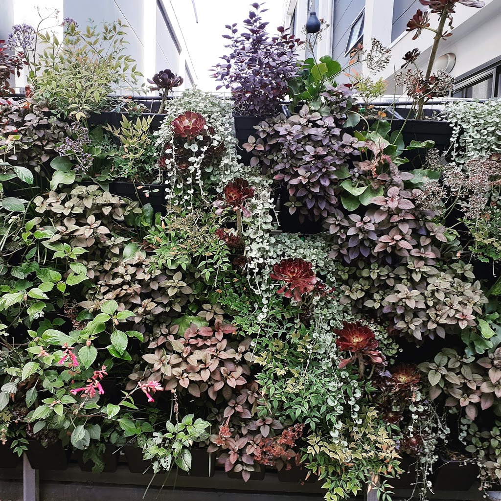 Vertical Gardens@ectoplasm | general contractor | 10 Penzance St, Glenelg SA 5045, Australia | 0448789793 OR +61 448 789 793