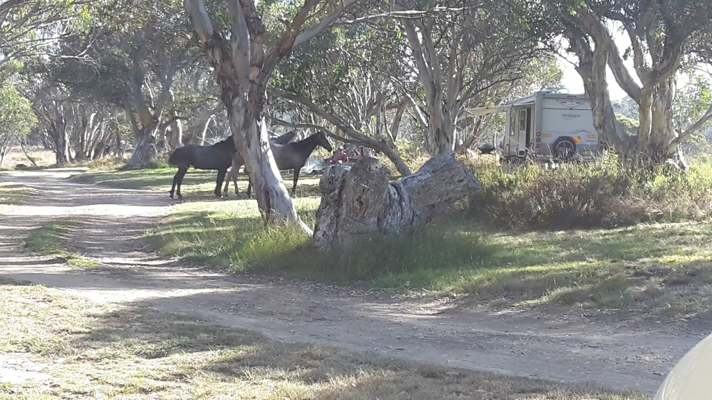 Three Mile Dam campground | Link Road, Kosciuszko National Park NSW 2627, Australia | Phone: (02) 6947 7025